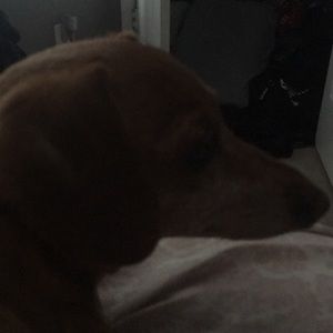 Meet your Posher, Susana